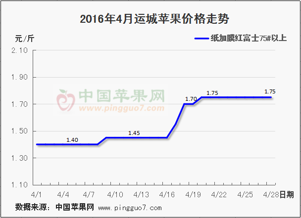 運城蘋果價格走勢